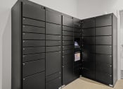 Thumbnail 30 of 43 - a group of black lockers in a room with a door