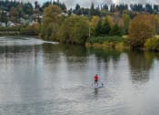 Thumbnail 42 of 43 - a man paddling a paddle board on a river