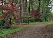 Thumbnail 11 of 12 - Affinitee at Pine Lake Apartments in Pine Lake, GA photo of a path through a park with trees and a bench