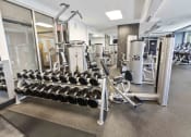 Thumbnail 17 of 38 - fitness center with free weights