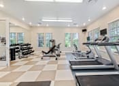 Thumbnail 25 of 32 - Interior view of the 24-hour fitness center with modern equipment at The Sanctuary at 331