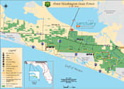 Thumbnail 31 of 32 - Map illustrating the forested areas surrounding The Sanctuary at 331 in Santa Rosa Beach, FL