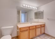 Thumbnail 24 of 44 - Updated Bathroom at Valley Springs Apartments