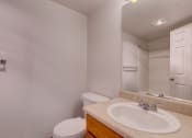 Thumbnail 25 of 44 - Updated Bathroom at Valley Springs Apartments