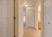 Thumbnail 36 of 44 - carpet
