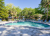 Thumbnail 7 of 19 - a swimming pool with chaise lounge chairs and trees in the background