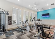 Thumbnail 26 of 28 - A gym with a variety of equipment including treadmills, weights, and a television.