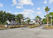 Thumbnail 21 of 28 - A street view of a Sarasota sign with palm trees on the side.