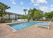 Thumbnail 19 of 28 - A pool surrounded by palm trees and lounge chairs.