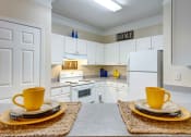 Thumbnail 1 of 27 - Villas at Hannover Apartments in Stockbridge, GA photo of kitchen with white cabinets