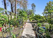 Thumbnail 4 of 21 - Resident garden area with walking path and raised garden beds at Sunnyside Senior Apartments in San Dimas, CA