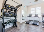Thumbnail 28 of 55 - A gym with treadmills, weights, and TRX equipment.