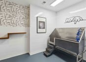 Thumbnail 21 of 29 - Sage at 1240 apartments in Mount Pleasant South Carolina photo of Pet Spa