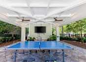 Thumbnail 12 of 32 - Outdoor ping pong table at The Sanctuary at 331 apartment complex in Santa Rosa Beach, Florida, with nearby seating and landscaped grounds