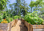 Thumbnail 18 of 32 - A garden with wooden fences and plants.