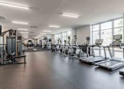 Thumbnail 29 of 39 - A spacious gym with a variety of equipment including treadmills, stationary bikes, and weight machines.