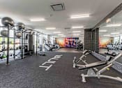 Thumbnail 28 of 39 - A gym with a variety of equipment including a weight bench, a squat rack, and a rowing machine.