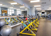 Thumbnail 14 of 20 - fitness center-video programs, cycles