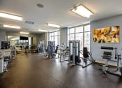 Thumbnail 12 of 20 - fitness center- weighted machines