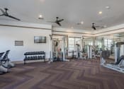 Thumbnail 10 of 21 - a gym with weights and cardio machines and ceiling fans