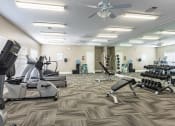 Thumbnail 5 of 29 - Twin Oaks Apartments in Hattiesburg Mississippi photo of large fitness center