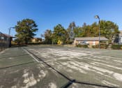 Thumbnail 24 of 29 - Twin Oaks Apartments in Hattiesburg Mississippi photo of tennis court