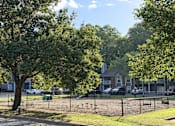 Thumbnail 15 of 25 - A tree in a park with a fence and a building in the background.