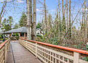 Thumbnail 26 of 35 - A wooden walkway leads through a forest.