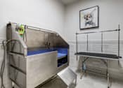 Thumbnail 25 of 35 - a patient exam room with a exam table and a painting of a dog on the wall