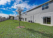Thumbnail 3 of 36 - A tree stands in a grassy yard in front of a grey building.