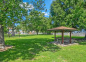 Thumbnail 9 of 15 - Picnic area at Dove Creek Apartments 