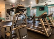 Thumbnail 19 of 30 - River Ranch fitness center