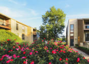Thumbnail 7 of 22 - Landscaping at apartment complex