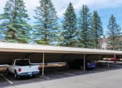 Thumbnail 13 of 19 - apartment carport in Waterford MI