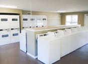 Thumbnail 15 of 25 - onsite laundry facility at Summer Green