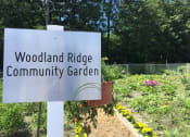 Thumbnail 31 of 34 - apartments with a community garden