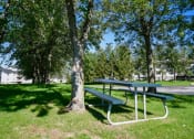 Thumbnail 14 of 26 - Outdoor Picnic Area at Crown Pointe Apartments