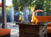 Thumbnail 25 of 34 - Woodland Ridge apartments firepit