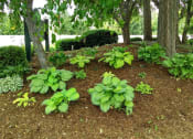 Thumbnail 21 of 22 - Gardens at Grand Ledge MI Apartments