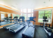 Thumbnail 15 of 33 - Apartment Fitness Center with Cardio Machines