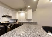 Thumbnail 8 of 21 - granite countertops at icon Apartments