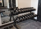Thumbnail 15 of 20 - a rack of dumbbells in front of a mirror in a gym