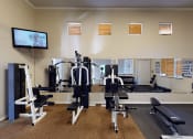 Thumbnail 18 of 24 - a gym with weights and a tv on the wall