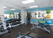 Thumbnail 16 of 32 - a gym with weights and other equipment in a room with blue walls