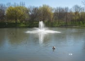 Thumbnail 30 of 32 - a fountain in the middle of a lake with ducks