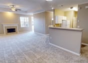Thumbnail 18 of 32 - apartment living room with carpeting
