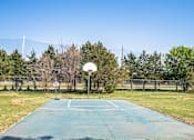 Thumbnail 17 of 23 - A basketball court with a net and a basketball hoop.