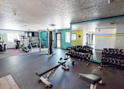 Thumbnail 22 of 41 - A gym with a variety of equipment including weights and a bench.