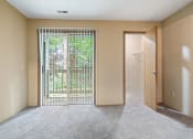 Thumbnail 8 of 26 - apartment living room with a sliding glass door and a closet
