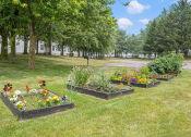 Thumbnail 17 of 26 - a row of flower beds in a grassy area with trees in the background